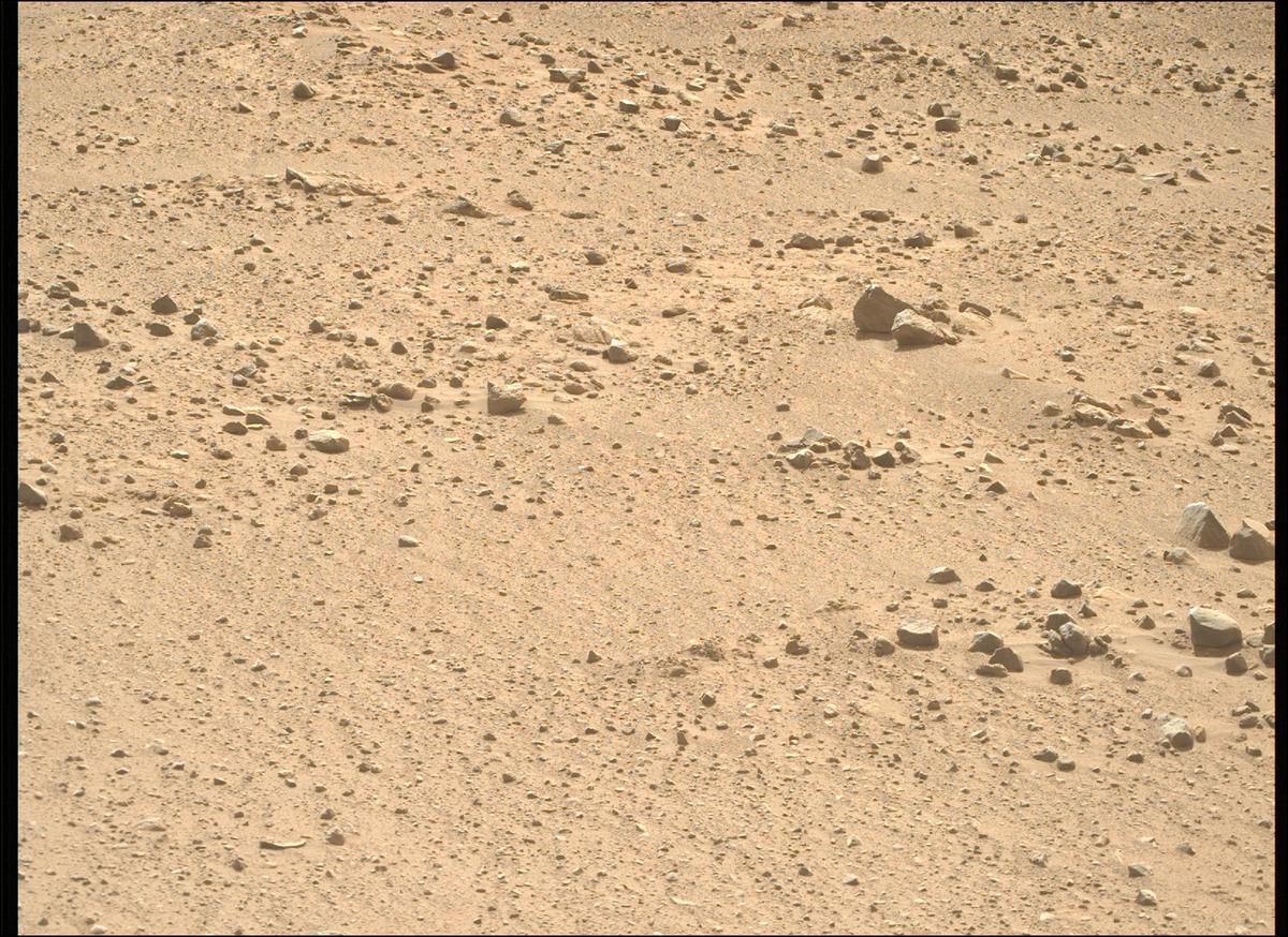 This image was taken by MCZ_RIGHT onboard NASA's Mars rover Perseverance on Sol 1879
