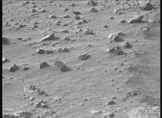 View image taken on Mars, Mars Perseverance Sol 1881: Right Mastcam-Z Camera