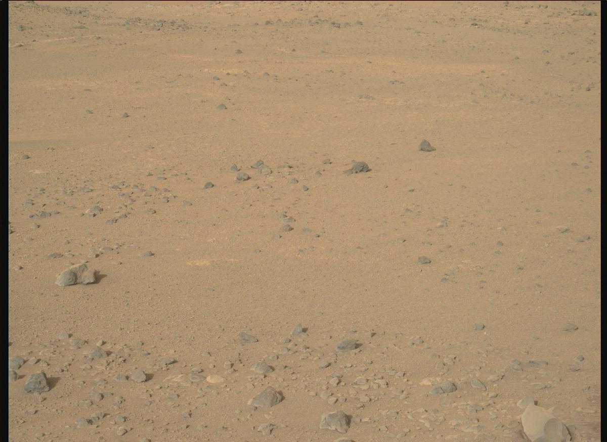 This image was taken by MCZ_RIGHT onboard NASA's Mars rover Perseverance on Sol 1882