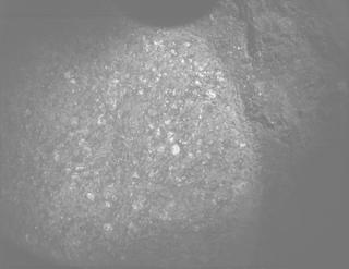 View image taken on Mars, Mars Perseverance Sol 1886: PIXL Camera 