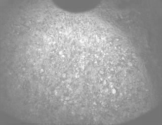 View image taken on Mars, Mars Perseverance Sol 1886: PIXL Camera 