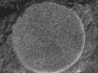 View image taken on Mars, Mars Perseverance Sol 1886: WATSON Camera 
