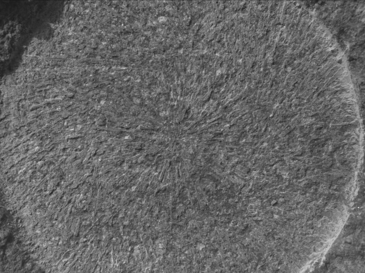 This image was taken by SHERLOC_WATSON onboard NASA's Mars rover Perseverance on Sol 1886