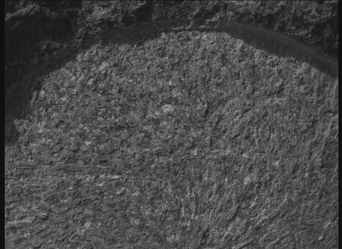 This image was taken by SHERLOC_WATSON onboard NASA's Mars rover Perseverance on Sol 1886