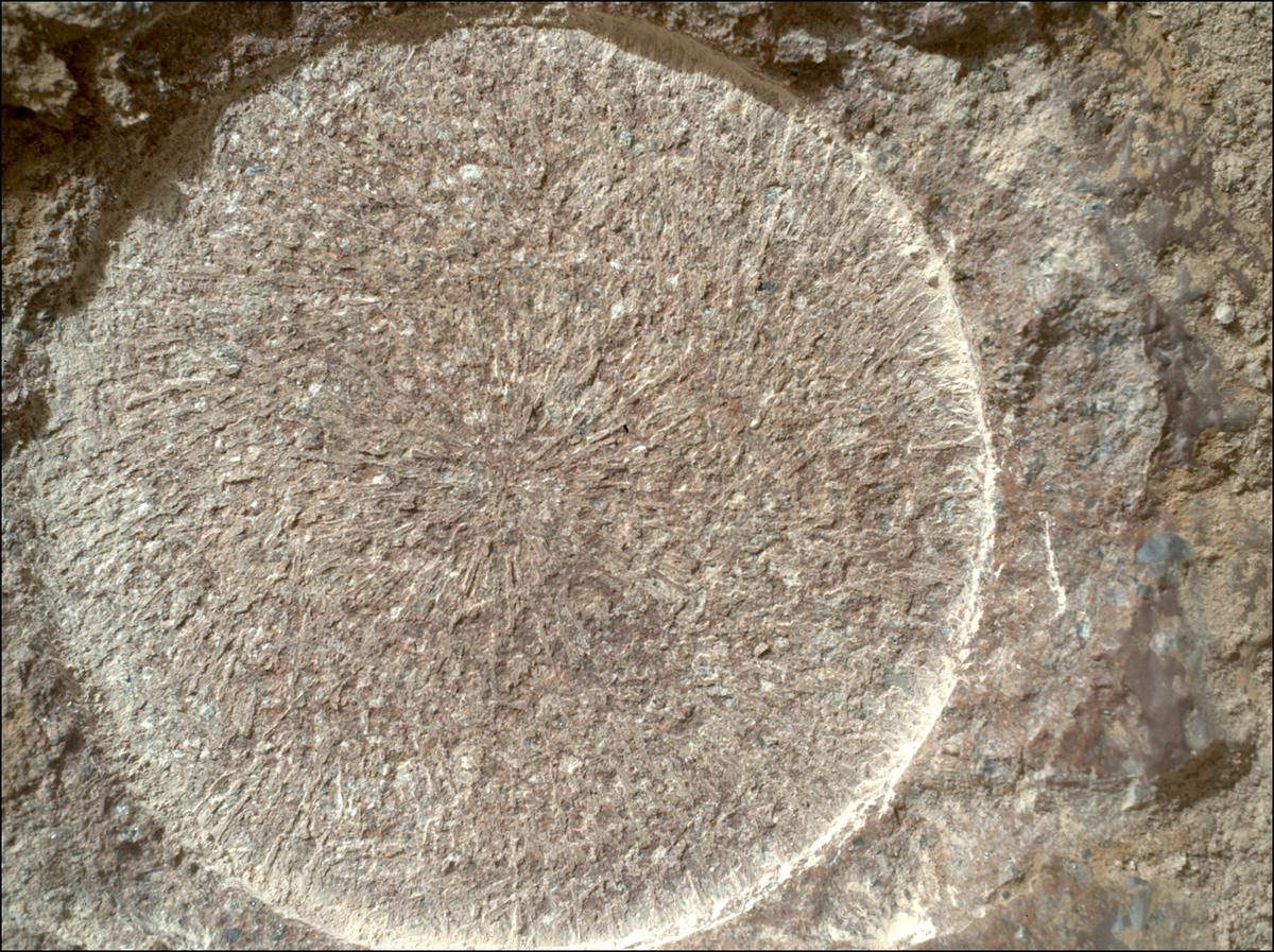 This image was taken by SHERLOC_WATSON onboard NASA's Mars rover Perseverance on Sol 1886