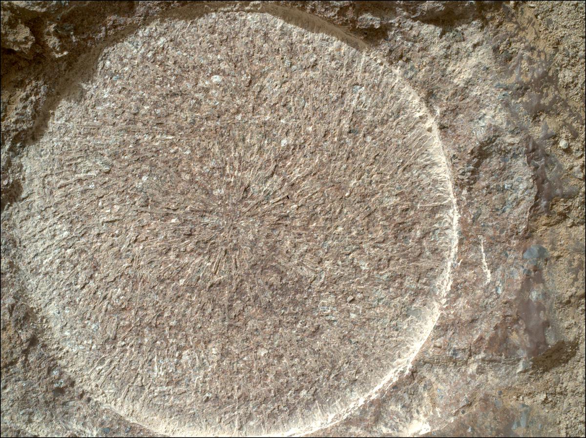 This image was taken by SHERLOC_WATSON onboard NASA's Mars rover Perseverance on Sol 1886