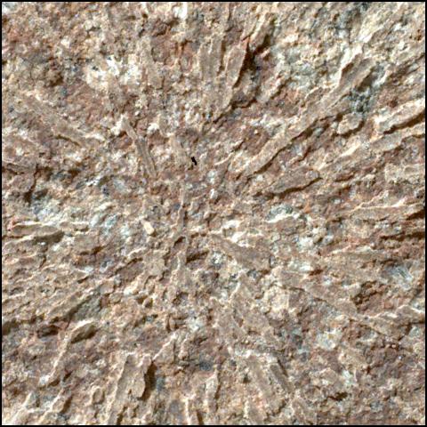 This image was taken by SHERLOC_WATSON onboard NASA's Mars rover Perseverance on Sol 1886