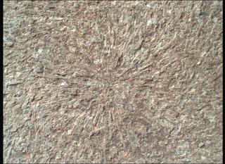 View image taken on Mars, Mars Perseverance Sol 1886: WATSON Camera 