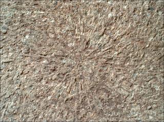 View image taken on Mars, Mars Perseverance Sol 1886: WATSON Camera 