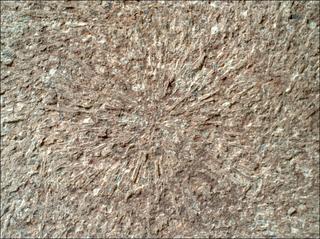 View image taken on Mars, Mars Perseverance Sol 1886: WATSON Camera 