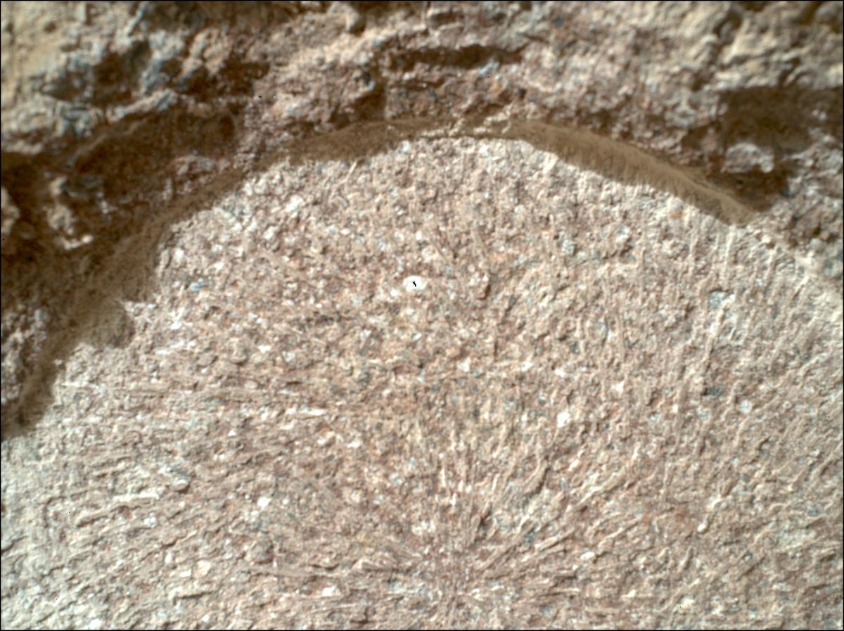 This image was taken by SHERLOC_WATSON onboard NASA's Mars rover Perseverance on Sol 1886