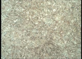 View image taken on Mars, Mars Perseverance Sol 1886: WATSON Camera 