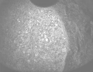 View image taken on Mars, Mars Perseverance Sol 1887: PIXL Camera 