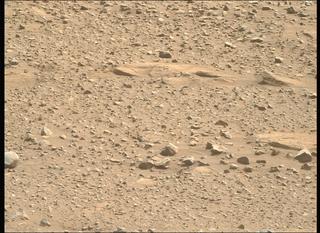 View image taken on Mars, Mars Perseverance Sol 1892: Right Mastcam-Z Camera