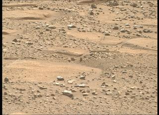 View image taken on Mars, Mars Perseverance Sol 1892: Right Mastcam-Z Camera