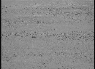 View image taken on Mars, Mars Perseverance Sol 1900: Right Mastcam-Z Camera