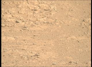 View image taken on Mars, Mars Perseverance Sol 1905: Right Mastcam-Z Camera