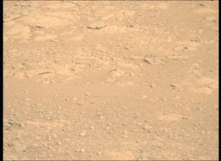 View image taken on Mars, Mars Perseverance Sol 1905: Right Mastcam-Z Camera