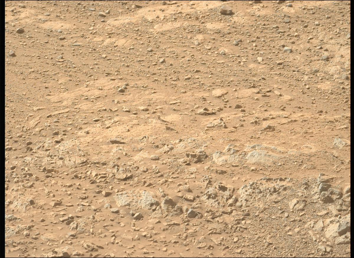 This image was taken by MCZ_LEFT onboard NASA's Mars rover Perseverance on Sol 1906