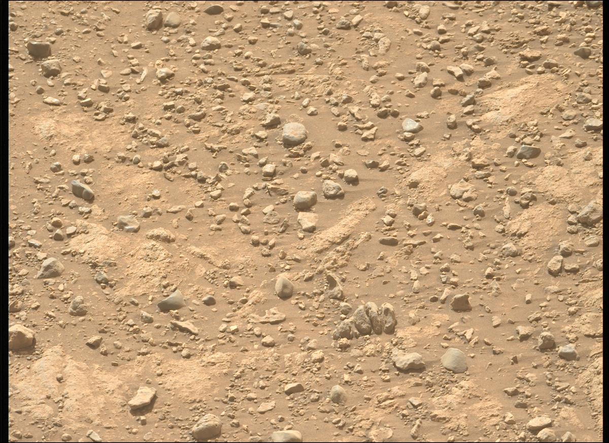 This image was taken by MCZ_LEFT onboard NASA's Mars rover Perseverance on Sol 1906