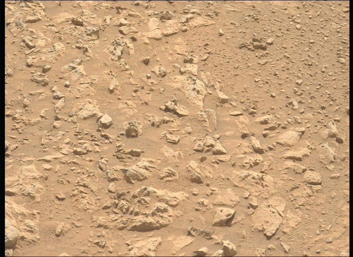 This image was taken by MCZ_LEFT onboard NASA's Mars rover Perseverance on Sol 1906