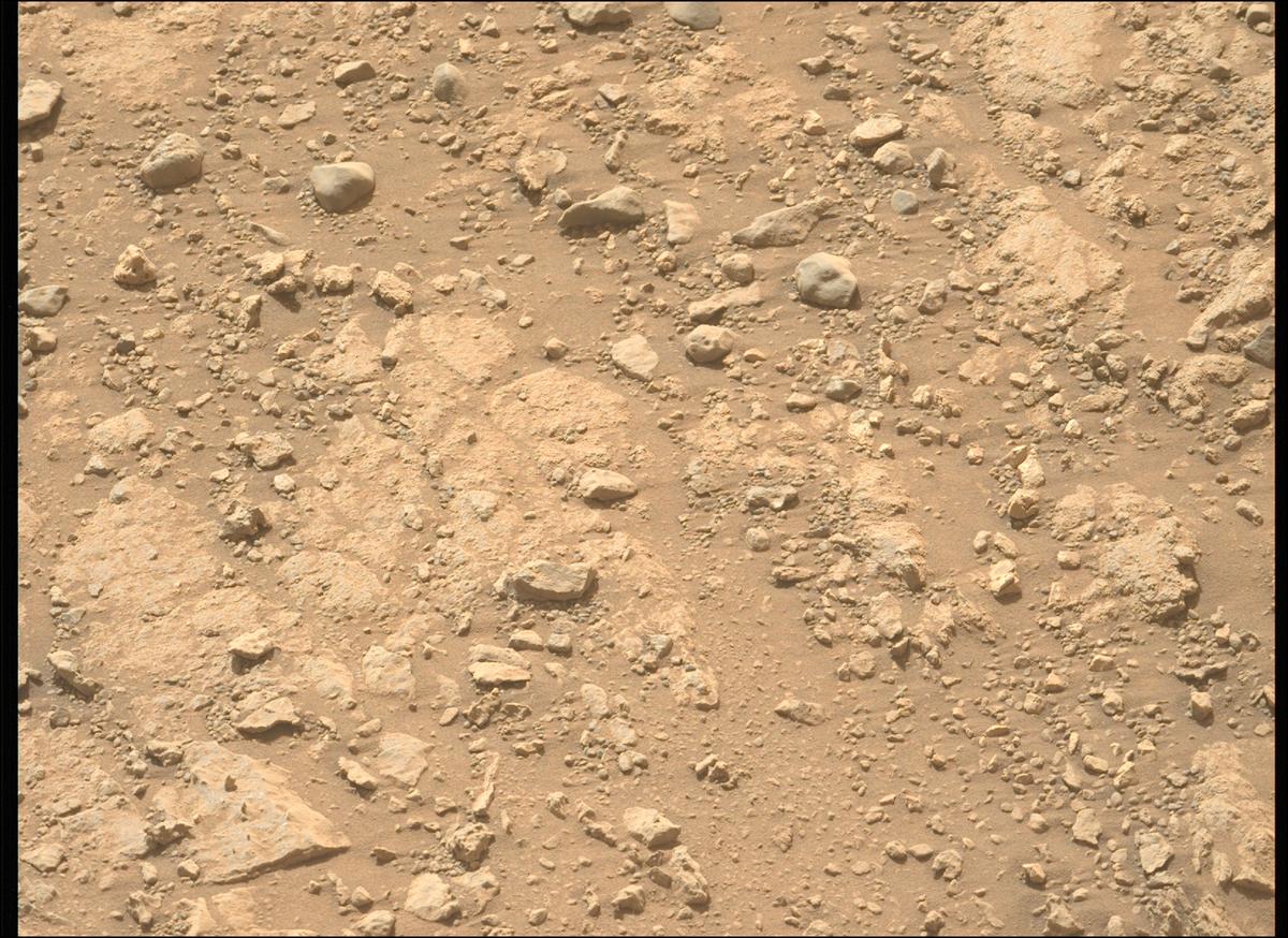 This image was taken by MCZ_LEFT onboard NASA's Mars rover Perseverance on Sol 1906