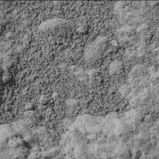 View image taken on Mars, Mars Perseverance Sol 1907: WATSON Camera 