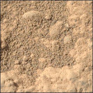 View image taken on Mars, Mars Perseverance Sol 1907: WATSON Camera 