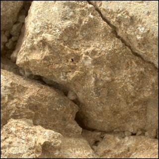 View image taken on Mars, Mars Perseverance Sol 1907: WATSON Camera 