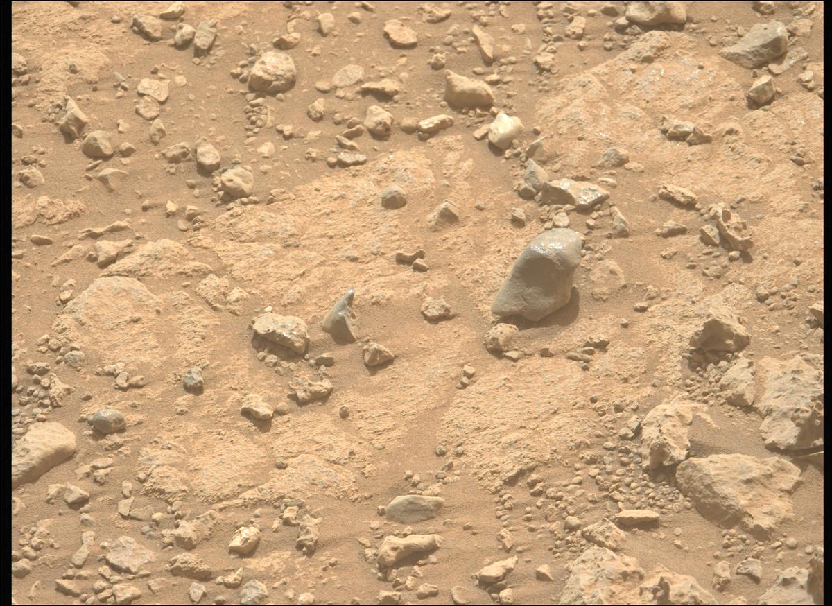 This image was taken by MCZ_LEFT onboard NASA's Mars rover Perseverance on Sol 1907