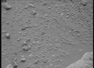 View image taken on Mars, Mars Perseverance Sol 1907: Left Mastcam-Z Camera