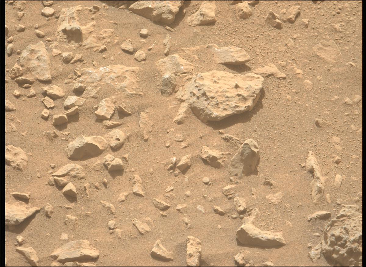 This image was taken by MCZ_LEFT onboard NASA's Mars rover Perseverance on Sol 1907