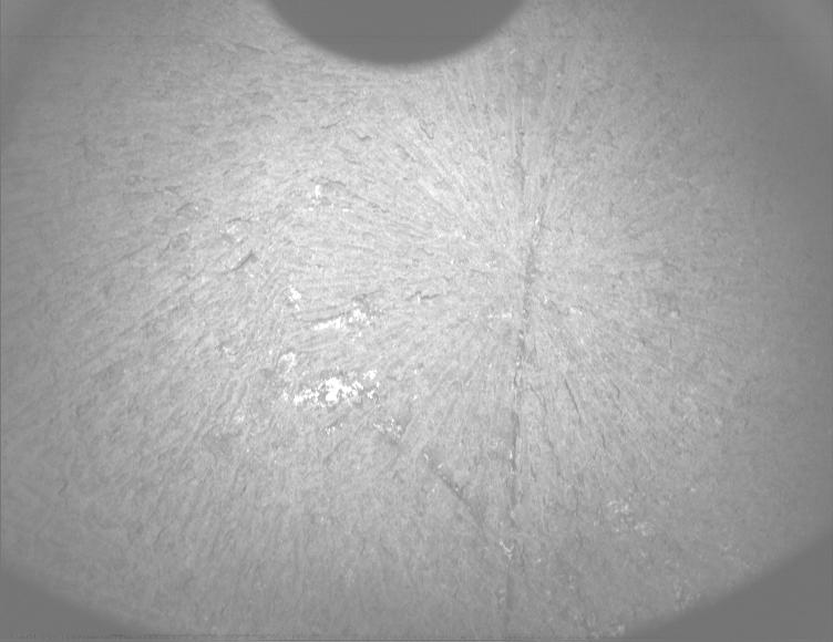 This image was taken by PIXL_MCC onboard NASA's Mars rover Perseverance on Sol 1915
