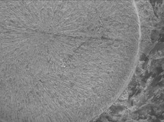 View image taken on Mars, Mars Perseverance Sol 1915: WATSON Camera 