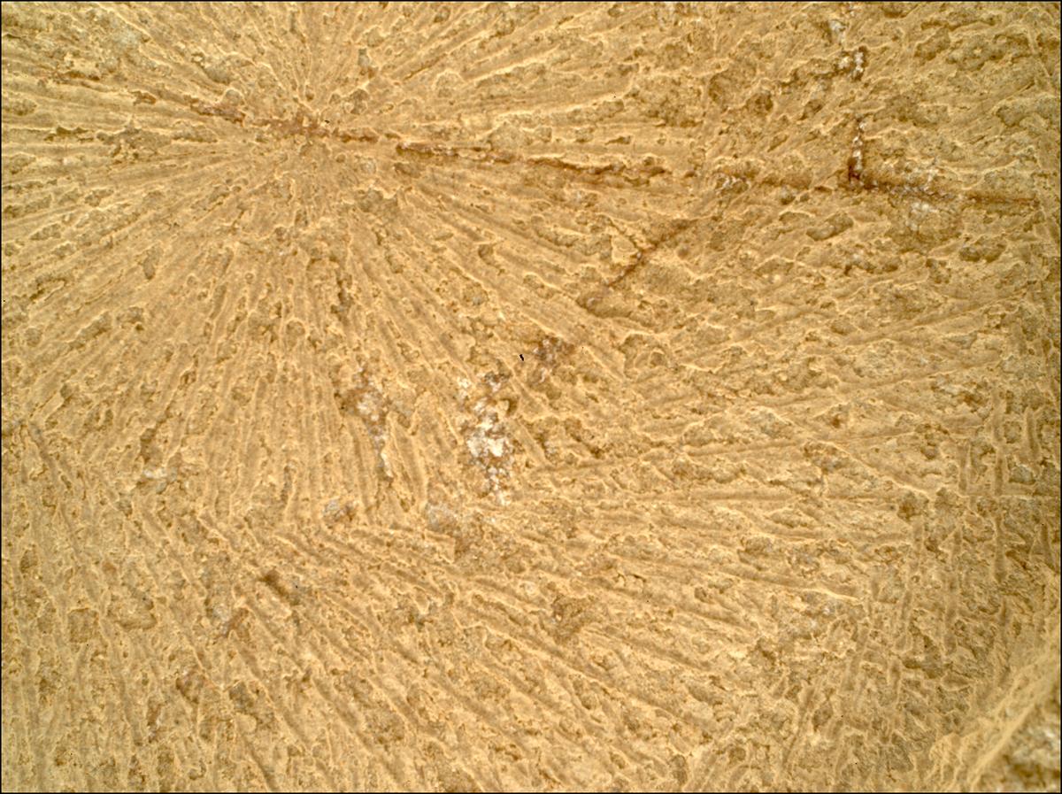 This image was taken by SHERLOC_WATSON onboard NASA's Mars rover Perseverance on Sol 1915