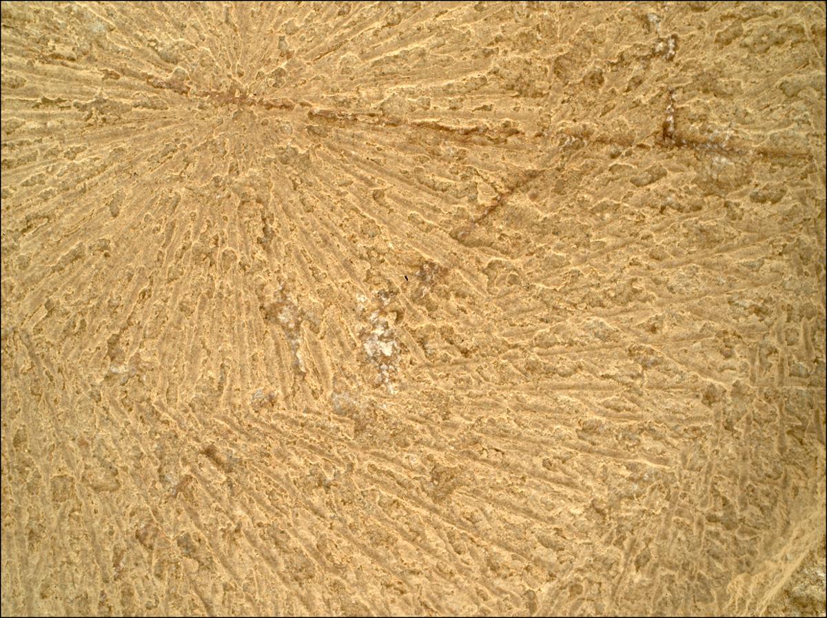 This image was taken by SHERLOC_WATSON onboard NASA's Mars rover Perseverance on Sol 1915