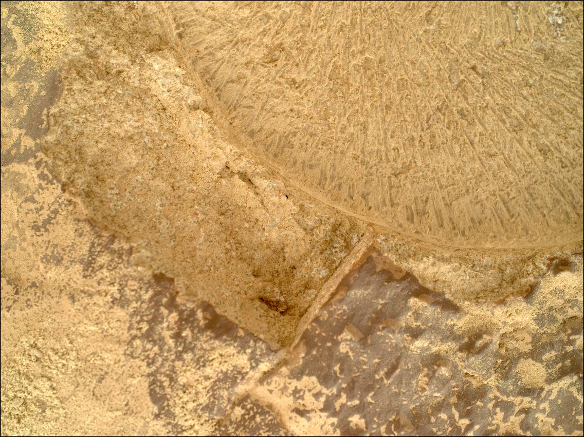 This image was taken by SHERLOC_WATSON onboard NASA's Mars rover Perseverance on Sol 1915