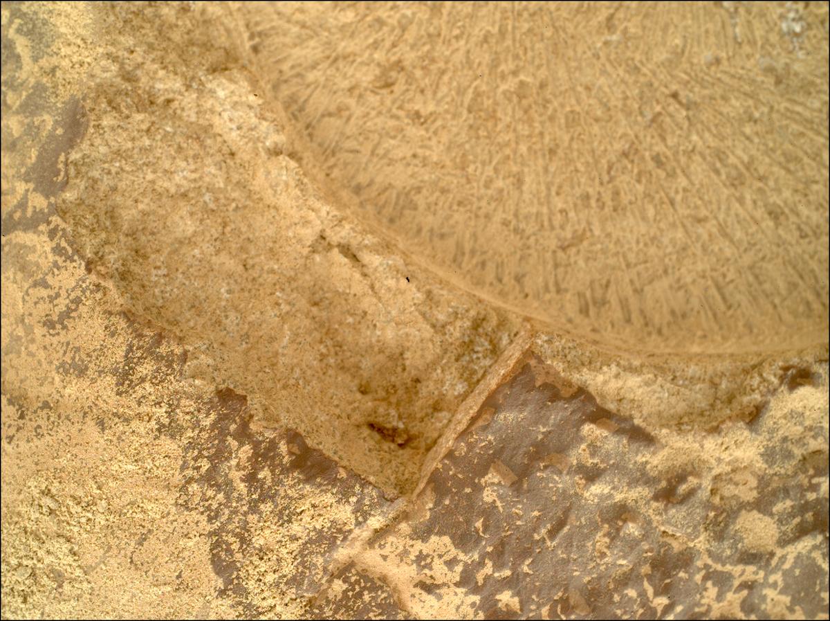 This image was taken by SHERLOC_WATSON onboard NASA's Mars rover Perseverance on Sol 1915