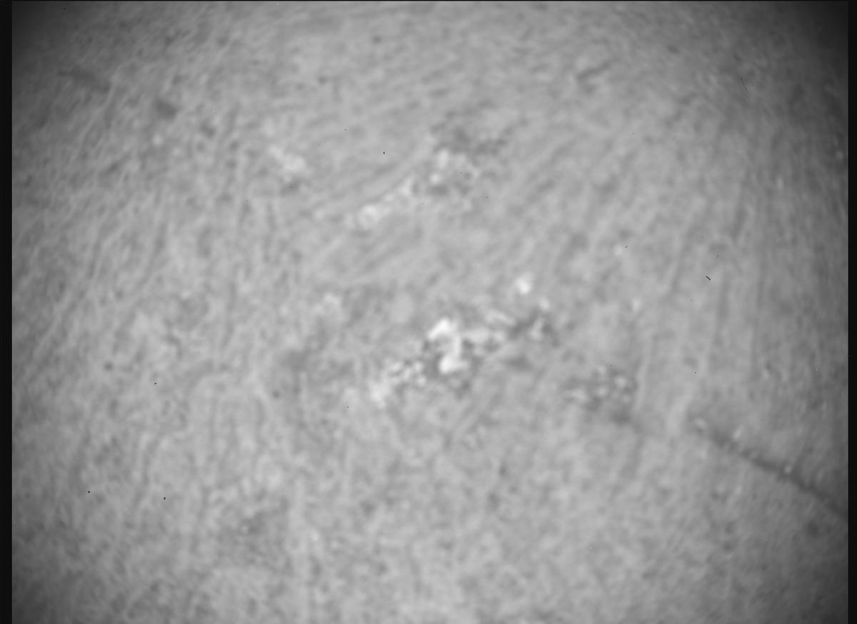 This image was taken by SHERLOC_ACI onboard NASA's Mars rover Perseverance on Sol 1916