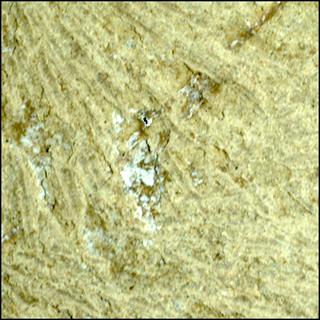 View image taken on Mars, Mars Perseverance Sol 1916: WATSON Camera 