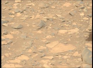 View image taken on Mars, Mars Perseverance Sol 1919: Left Mastcam-Z Camera