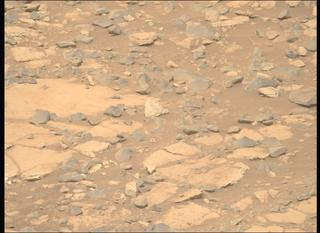 View image taken on Mars, Mars Perseverance Sol 1919: Right Mastcam-Z Camera