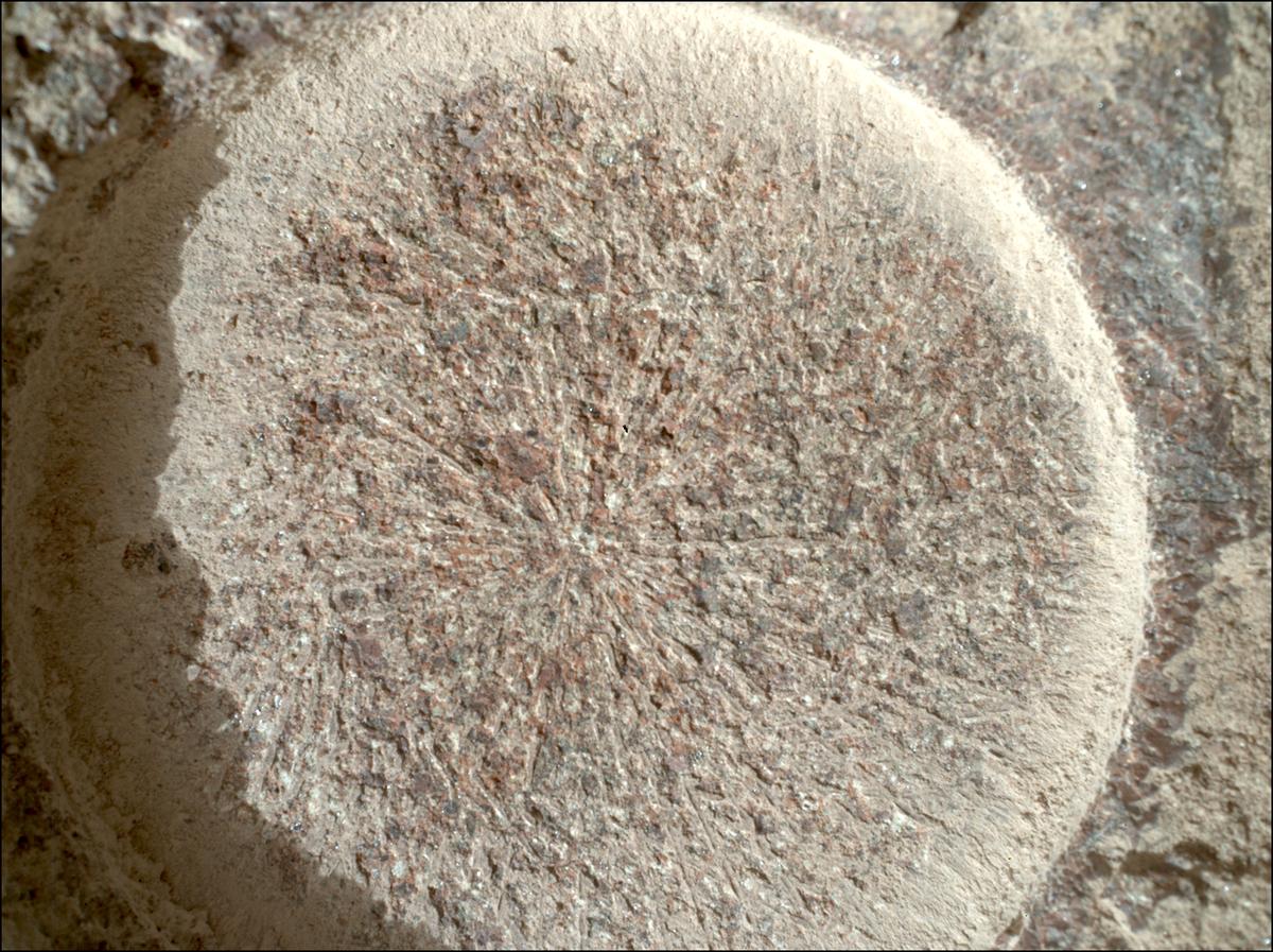This image was taken by SHERLOC_WATSON onboard NASA's Mars rover Perseverance on Sol 1931