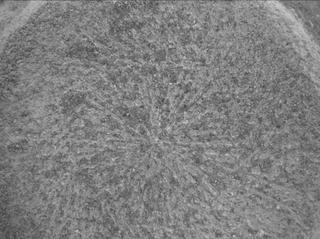 View image taken on Mars, Mars Perseverance Sol 1934: WATSON Camera 