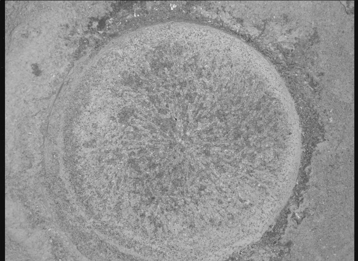 This image was taken by SHERLOC_WATSON onboard NASA's Mars rover Perseverance on Sol 1934
