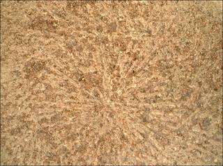 View image taken on Mars, Mars Perseverance Sol 1934: WATSON Camera 