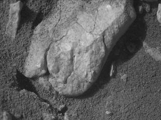 View image taken on Mars, Mars Perseverance Sol 1937: WATSON Camera 