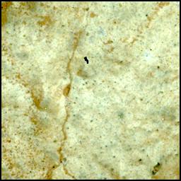 View image taken on Mars, Mars Perseverance Sol 1937: WATSON Camera 