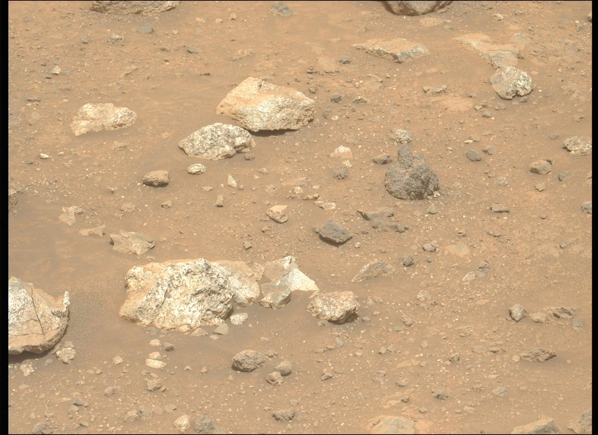 This image was taken by MCZ_LEFT onboard NASA's Mars rover Perseverance on Sol 1949