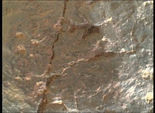 View image taken on Mars, Mars Perseverance Sol 1960: WATSON Camera 